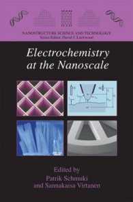 Electrochemistry at the Nanoscale (Nanostructure Science and Technology)