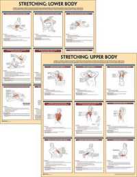 Stretching Anatomy Poster Series