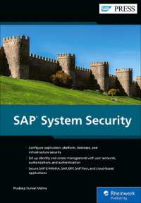 SAP System Security