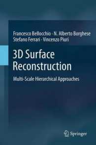 3D Surface Reconstruction : Multi-Scale Hierarchical Approaches （2013）