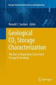 Geological CO2 Storage Characterization : The Key to Deploying Clean Fossil Energy Technology (Springer Environmental Science and Engineering)