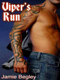 Viper's Run (Last Riders) （MP3 UNA）