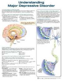 Understanding Major Depressive Disorder （3RD）