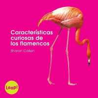 Caractersticas curiosas de los flamencos / Flamingo Features (Etapa B / Los Animales) （SEW）