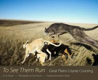 To See Them Run : Great Plains Coyote Coursing