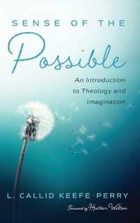 Sense of the Possible : An Introduction to Theology and Imagination