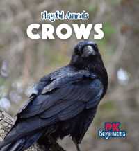 Crows (Playful Animals) （Library Binding）