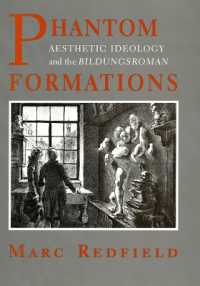 Phantom Formations : Aesthetic Ideology and the 'Bildungsroman'
