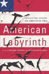 American Labyrinth : Intellectual History for Complicated Times
