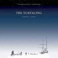The Surfacing Lib/E （Library）