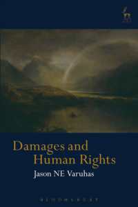 人権法違反への損害賠償<br>Damages and Human Rights