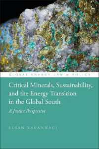 Critical Minerals, Sustainability, and the Energy Transition in the Global South : A Justice Perspective (Global Energy Law and Policy)