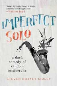 Imperfect Solo : A Dark Comedy of Random Misfortune