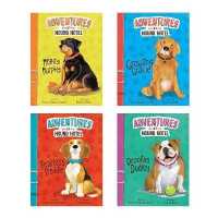 Adventures at Hound Hotel (Adventures at Hound Hotel)