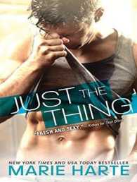 Just the Thing (Donnigans) （Unabridged）