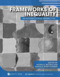 Frameworks of Inequality : An Intersectional Perspective