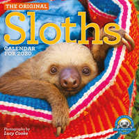 The Original Sloths 2020 Calendar （WAL）