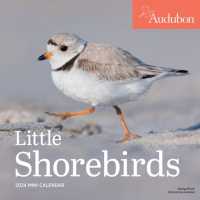 Audubon Little Shorebirds Mini Wall Calendar 2024 : A Tribute to the Diversity of Shorebirds and the Fragile Ecosystems they Inhabit