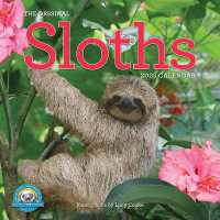 Original Sloths Wall Calendar 2025 : The Ultimate Experts at Slowing Down