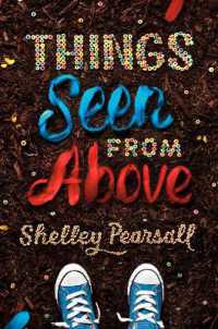 Things Seen from above -- Hardback