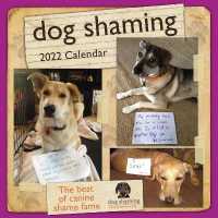Dog Shaming 2022 Wall Calendar -- Calendar (English Language Edition)