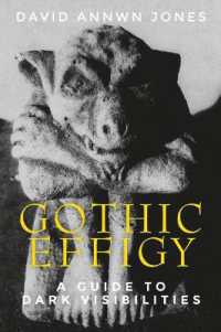 Gothic Effigy : A Guide to Dark Visibilities