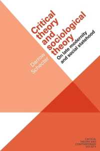 Critical Theory and Sociological Theory : On Late Modernity and Social Statehood (Critical Theory and Contemporary Society)