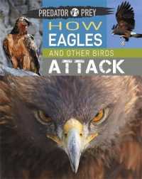 How Eagles and Other Birds Attack (Predator Vs Prey)