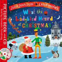 What the Ladybird Heard at Christmas -- Paperback / softback