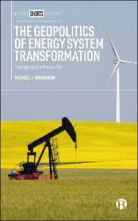 The Geopolitics of Energy System Transformation : Managing the Messy Mix