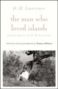 The Man Who Loved Islands: Sixteen Stories (riverrun editions) by D H Lawrence (riverrun editions)