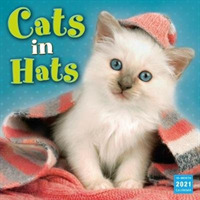 Cats in Hats 2021 Calendar （16M WAL）