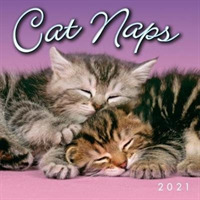 Cat Naps 2021 Calendar （MIN）