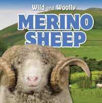 Merino Sheep (Wild and Woolly)