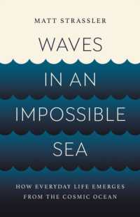 Waves in an Impossible Sea : How Everyday Life Emerges from the Cosmic Ocean
