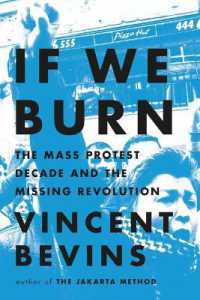 If We Burn : The Mass Protest Decade and the Missing Revolution