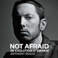 Not Afraid : The Evolution of Eminem