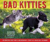 Bad Kitties 2020 Box Calendar