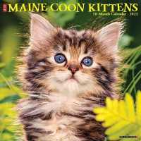 Just Maine Coon Kittens 2022 Wall Calendar （WAL）