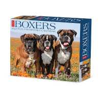 Boxers 2025 / boxed