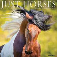 Just Horses 2025 / wall