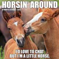 Horsin' around 2025 / wall