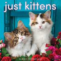 Just Kittens 2025 / wall