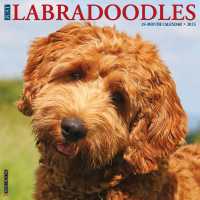 Just Labradoodles 2025 / wall