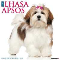 Just Lhasa Apsos 2025 / wall