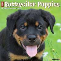 Just Rottweiler Puppies 2025 / wall