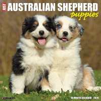 Australian Shepherd Puppies 2026 12 X 12 Wall Calendar