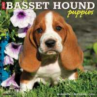 Basset Hound Puppies 2026 12 X 12 Wall Calendar