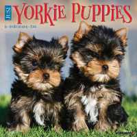Yorkie Puppies 2026 12 X 12 Wall Calendar