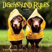 Dachshund Rules 2026 Mini Wall Calendar